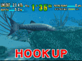 fish002.gif