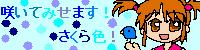 �����_���o�i�[