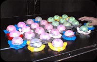 photo2