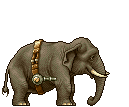 ELEPHANT SLUG