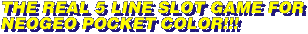 t1.gif (2083bytes)
