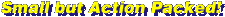 gif (2083bytes)