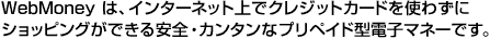 WebMoney͈SJ^ȃvyChdq}l[ł