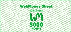 5000POINTシート