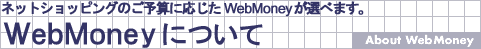 WebMoneyɂ